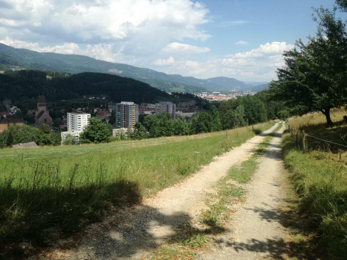 Privatzimmer Wagner Leoben  Exteriér fotografie