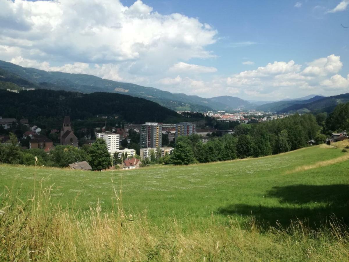 Privatzimmer Wagner Leoben  Exteriér fotografie